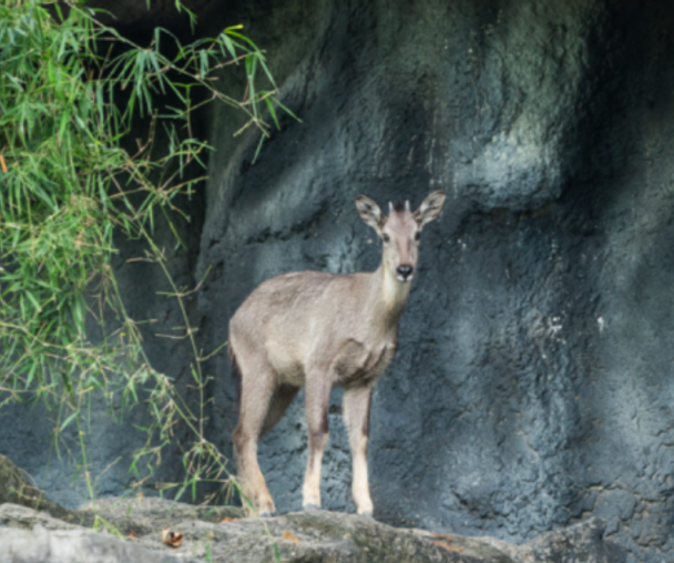 activity_detail_image