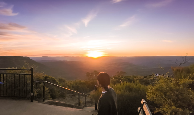 [OTT시드니] 소수정예 선셋 별보기 블루마운틴 & 페더데일 동물원 투어