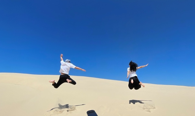 [OTT시드니] 특별 콤보 포트스테판 X 선셋 별보기 블루마운틴 & 페더데일 동물원 2일 투어