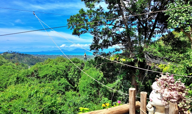 Koh Samui Tree Bridge Zipline Experience