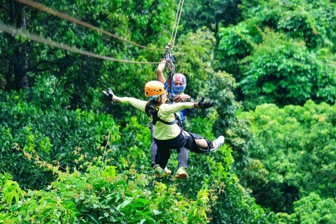 코사무이 트리 브릿지 짚라인 체험