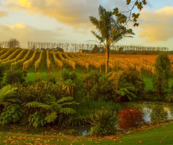 activity_detail_image