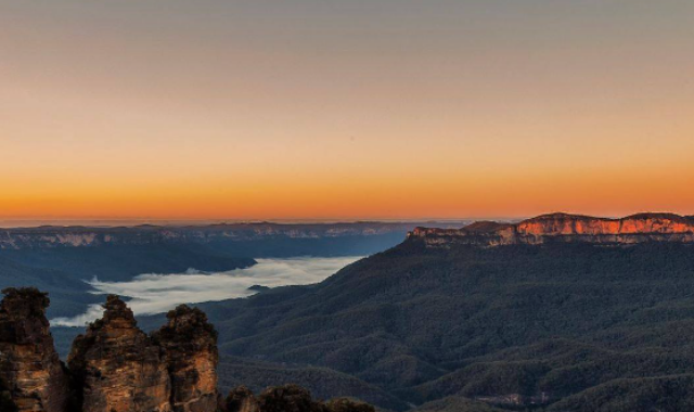 [고호주] 블루마운틴 별보기 그리고 인생 사진 투어 (페더데일 동물원 선택 가능)