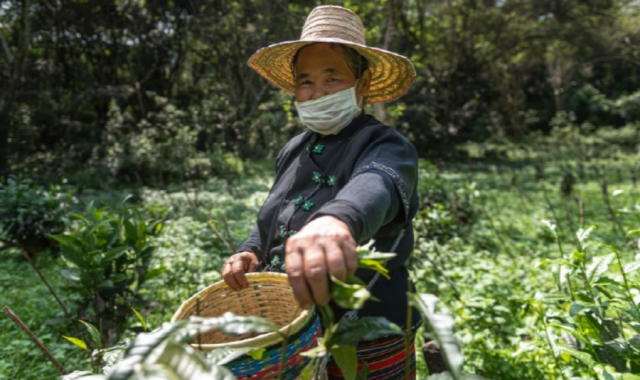 activity_detail_image