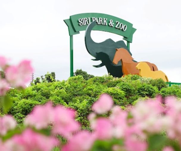 activity_detail_image