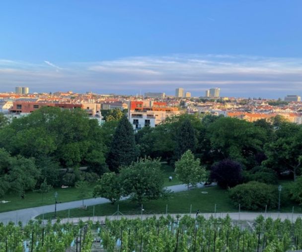 activity_detail_image