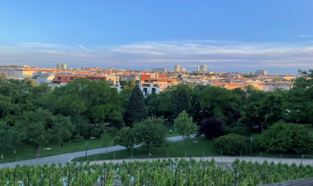 프라하 와인 전문가와 함께 즐기는 프라이빗 와이너리 반일 투어