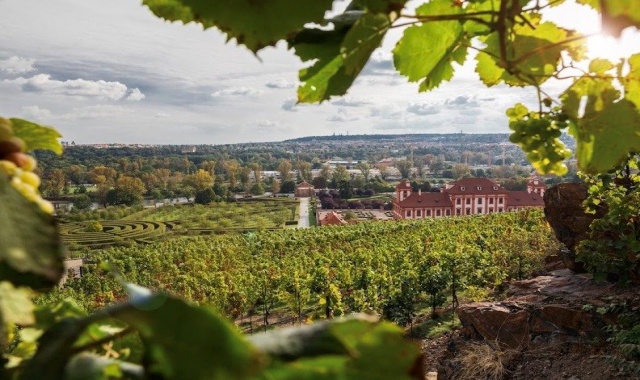 프라하 와인 전문가와 함께 즐기는 프라이빗 와이너리 반일 투어