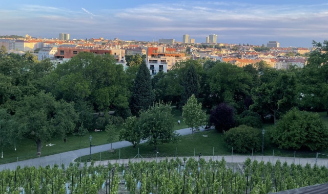 체코 맥주 & 와인과 함께 '프라하 야경 투어'