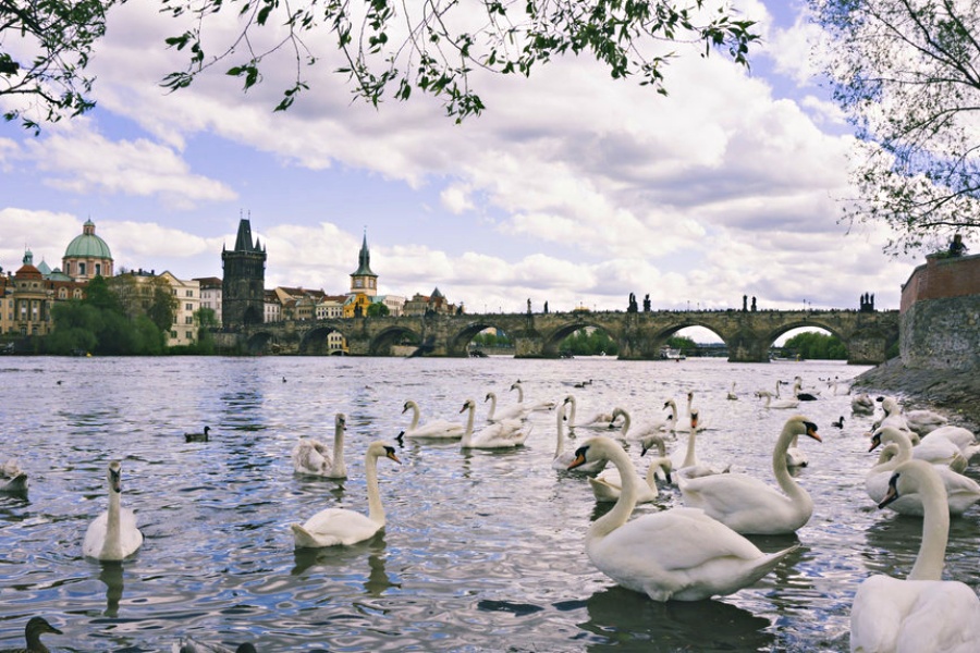 프라하 공인 가이드와 함께 핵심 명소 & 맛집 단독 투어
