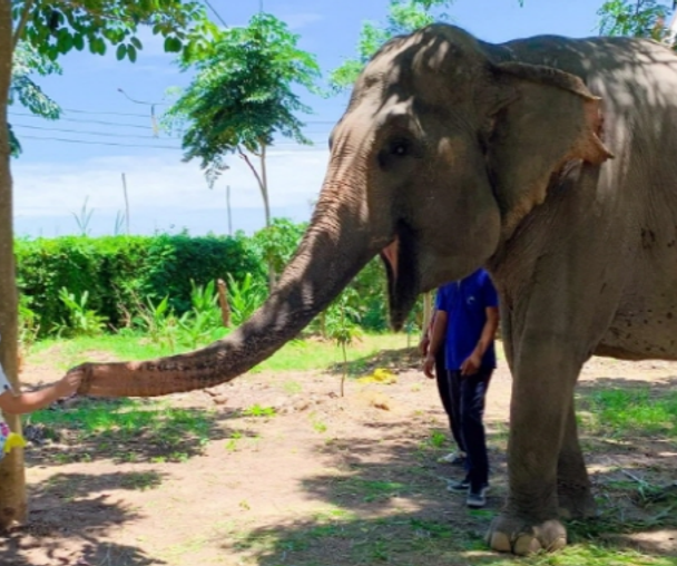 activity_detail_image