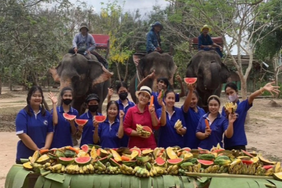 파타야 카오치찬 코끼리 빌리지 입장권