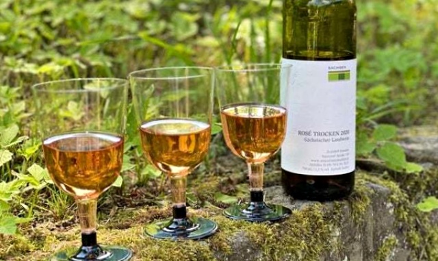 프라하에서 독일 드레스덴 - 작센 와이너리 단독 투어