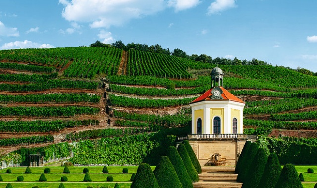 프라하에서 독일 드레스덴 - 작센 와이너리 단독 투어