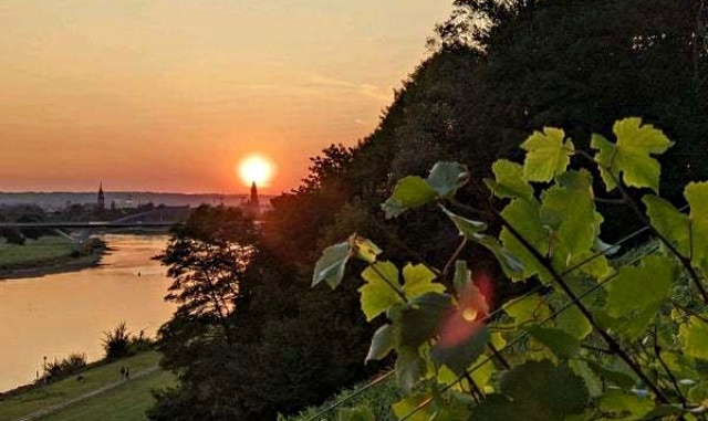 프라하에서 독일 드레스덴 - 작센 와이너리 단독 투어