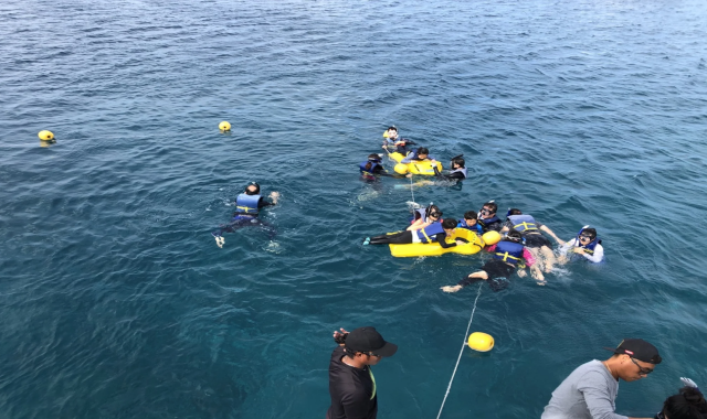 괌 마린 돌핀크루즈 투어 - 참치회 & 샌드위치