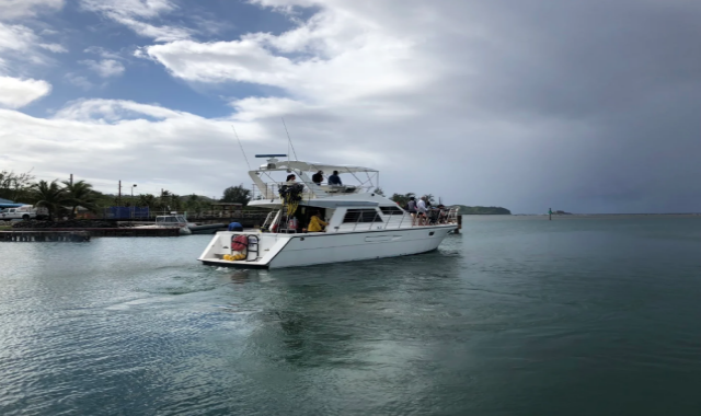 괌 마린 돌핀크루즈 투어 - 참치회 & 샌드위치