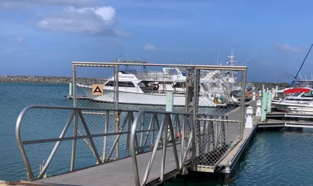 괌 마린 돌핀크루즈 투어 - 참치회 & 샌드위치