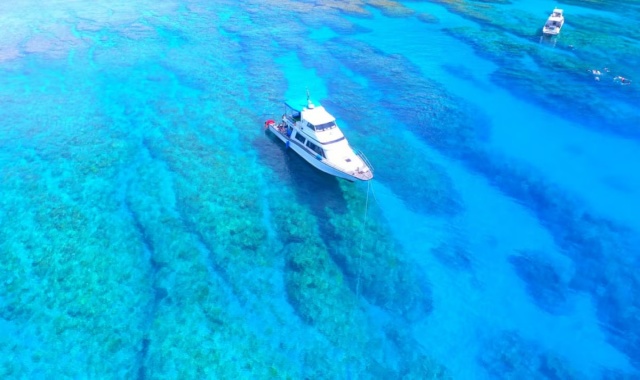 나하 출발: 오키나와 케라마 제도 3대 스노클링 투어