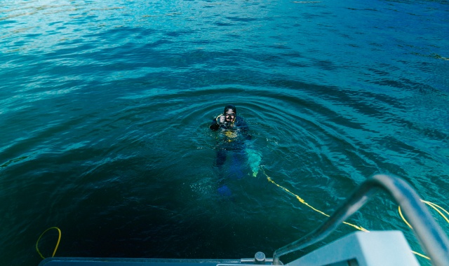 호주 타즈메이니안 와일드 씨푸드 어드벤처 크루즈