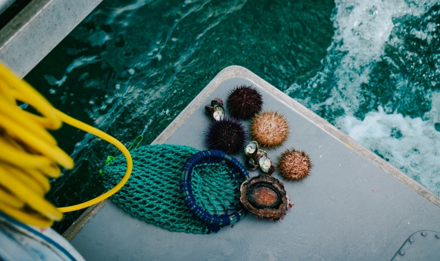 호주 타즈메이니안 와일드 씨푸드 어드벤처 크루즈