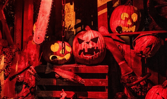 activity_detail_image
