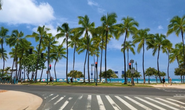 하와이 호놀룰루 공항 샌딩 서비스