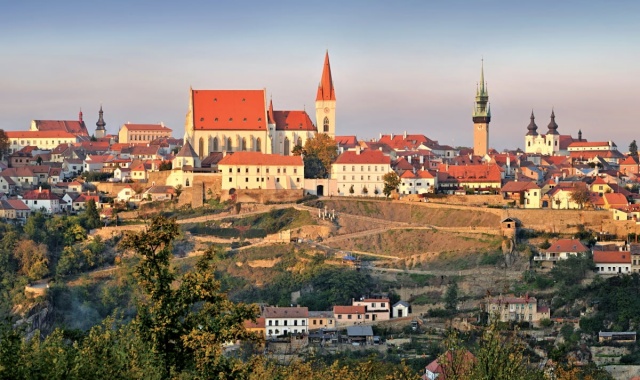 프라하에서 비엔나 와이너리 단독 투어 (픽업 & 샌딩 포함, 역순 가능)