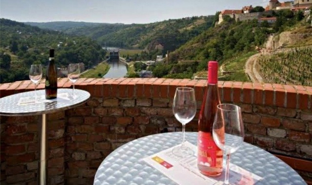 프라하에서 비엔나 와이너리 단독 투어 (픽업 & 샌딩 포함, 역순 가능)