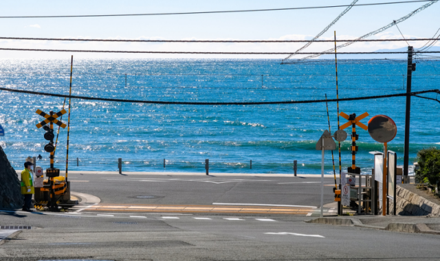 가나가와 가마쿠라 사보 소라하나