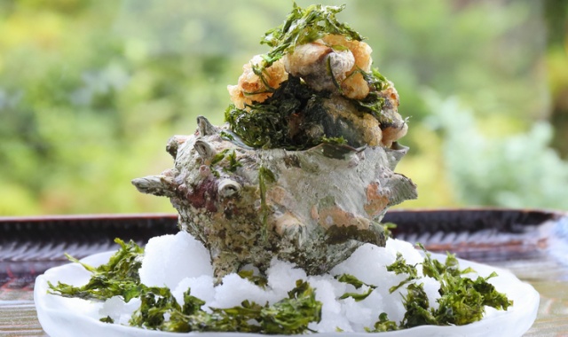 가나가와 가마쿠라 사보 소라하나