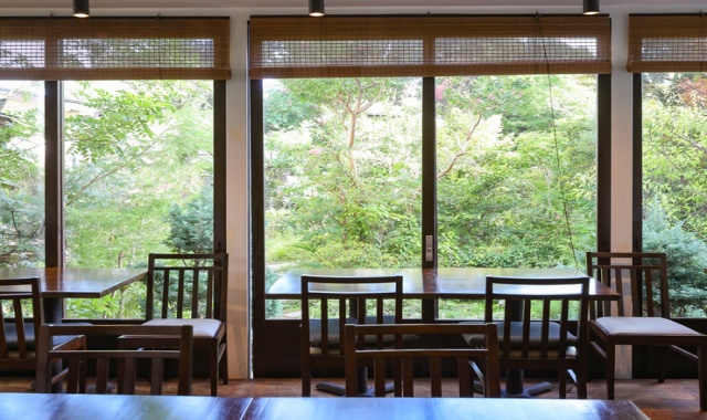 가나가와 가마쿠라 사보 소라하나