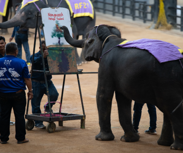 activity_detail_image