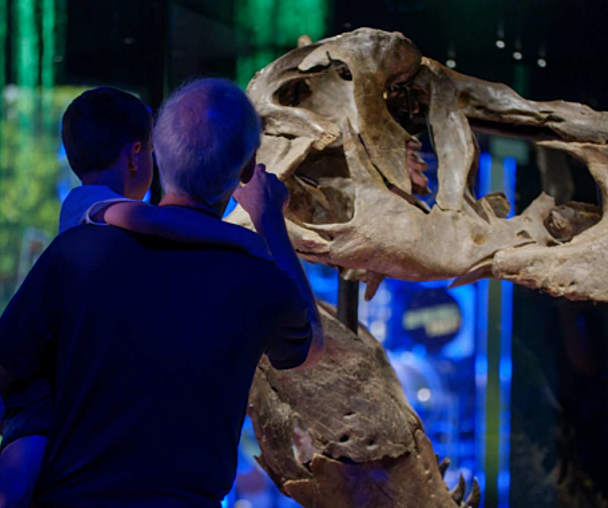 activity_detail_image