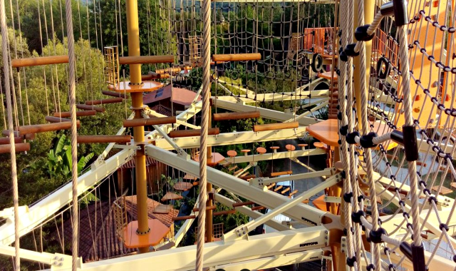 activity_detail_image