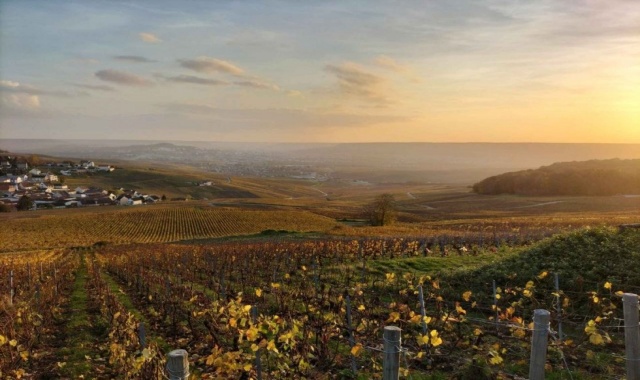 [톡투유] 프랑스 1박2일 - 샴페인 투어 & 룩셈부르크, 라발레 아울렛 쇼핑