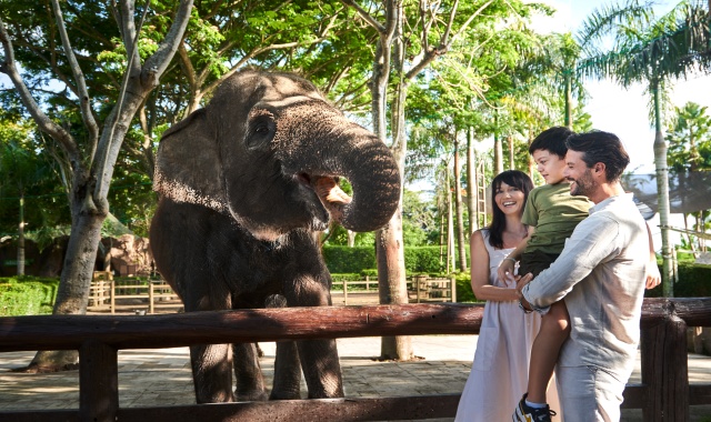 발리 이그조틱 마린 파크 & 동물원 투어 (숙소 픽업 & 샌딩 포함)