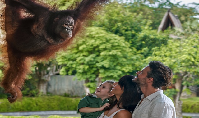 발리 이그조틱 마린 파크 & 동물원 투어 (숙소 픽업 & 샌딩 포함)