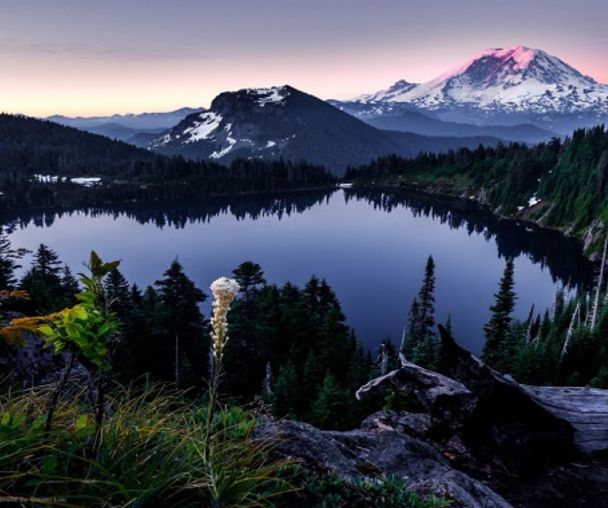 activity_detail_image