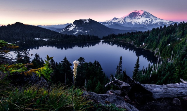 시애틀 레이니어 국립공원 단독 투어 (숙소 픽업 & 샌딩 포함)
