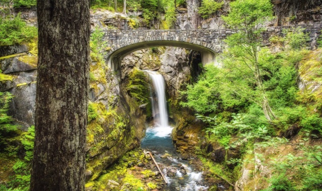 시애틀 레이니어 국립공원 단독 투어 (숙소 픽업 & 샌딩 포함)