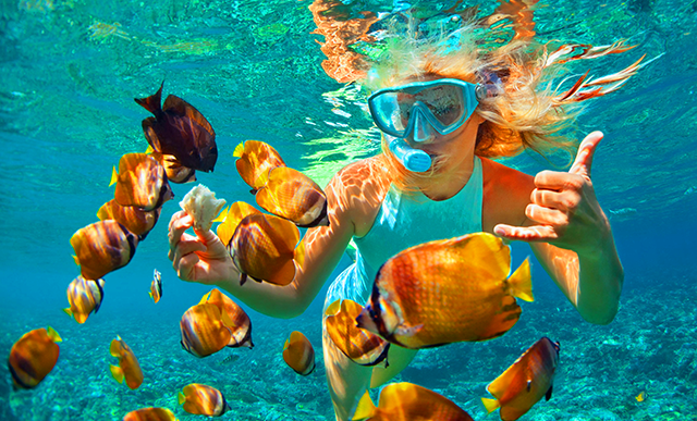 [베나자] 나트랑 혼문섬 & 혼땀섬 스노클링 투어 + 머드 스파