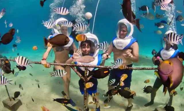 [베나자] 나트랑 혼문섬 & 혼땀섬 스노클링 투어 + 머드 스파