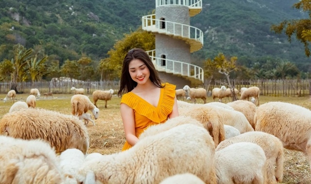 [베나자] 나트랑 출발: 판랑 일출 사막 투어 - 모닝, 선셋, 얼리 가능