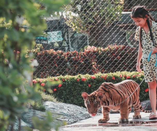 activity_detail_image