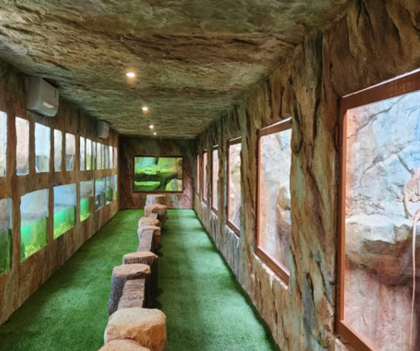 activity_detail_image