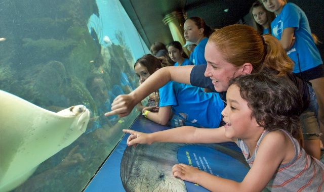 activity_detail_image