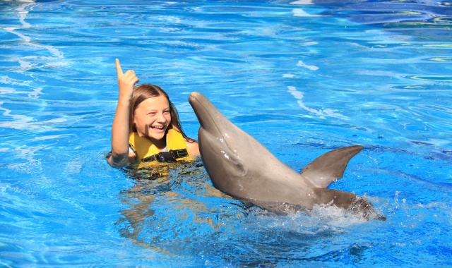 발리 이그조틱 마린 파크 반일 투어 (숙소 픽업 & 샌딩 포함)