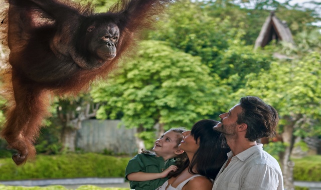 발리 동물원 & 칸토 람포 폭포 일일 투어 (숙소 픽업 & 샌딩 포함)