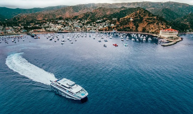 Los Angeles: One-Way Ferry to Catalina Island by Tammis